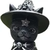 Magic Cat-Hat