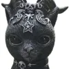 Magic Cat-Ewe Horn
