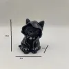 Magic Cat-Cloak