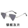Silver Frame Gray Sheet