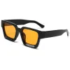 Black-Framed Orange Slices