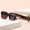 Leopard Frame Gray