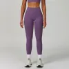 Fog Purple