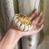 Shell Color