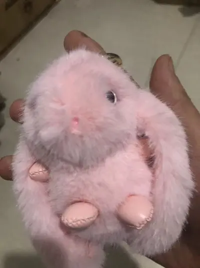 Plush Pendant Bunny Imitation Mink Hair Car Keychain