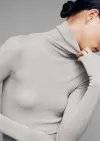 Turtledove Gray