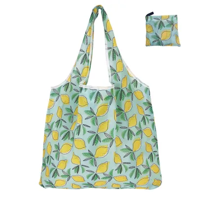 Fashion Printed Eco-Friendly Foldable Shopping Bag