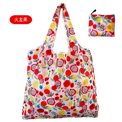 Eco-Friendly Printed Shopping Foldable Bag in Fashion Style