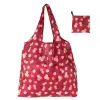 Red daisy