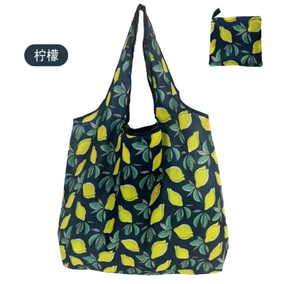 Fashion Printed Eco-Friendly Shopping Foldable Bag
