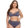 Purple Gray (Panties Enlarged Version)