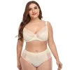 Beige (Panties Enlarged Version)