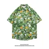 3112 Green