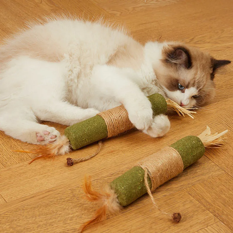 Fashion Cat Grinding Stick Polygonum Knockwood Bite Mint Small Toy with Raffia and Feather