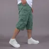 Grass Green