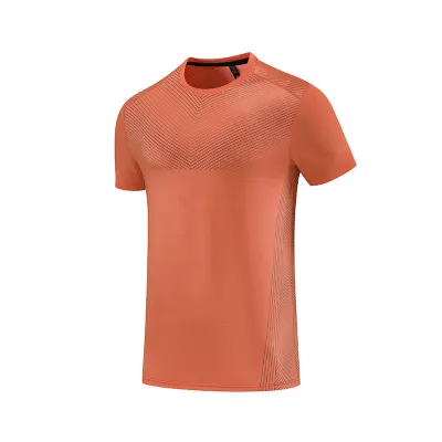 Men Sports Casual Ice Silk Quick-Drying Short Sleeve Crewneck T-Shirt