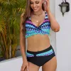 Blue Purple Lace