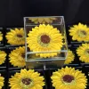 Simulation Sunflower Plus Sunflower Necklace