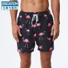Pink Flamingo