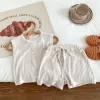 Rice Apricot