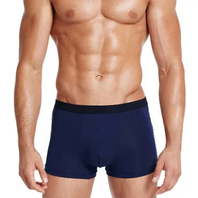Men's Fashion Casual Milk Silk Loose Breathable Thin Underwear