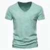 F037-Light Green