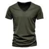 F037-Olive
