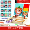 Human Facial Features Scene
