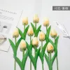 1 Tulip (Champagne)