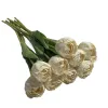 Ice Cream Tulip-White