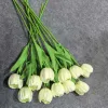 Lantern Tulip Milk White One