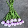 Lantern Tulip Purple White A