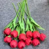 A Lantern Tulip Red