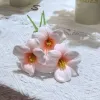 Pink Brownie Tulip-Meat Powder 1 Sprig