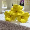 Brownie Tulips-Yellow 1 Stick