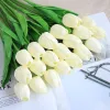 1 Tulip (White)