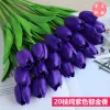 1 Tulip (Pure Purple)