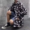 137 Disorderly Chrysanthemum Black