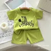 Green Bottom Zebra