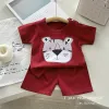 Red Bottom Gray Tiger