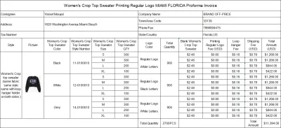 Women Crop Top Sweater With Loop Hanger Holder On Both Sides Printing Regular Logo MIAMI FLORIDA