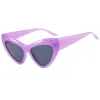 Purple Frame Gray Sheet