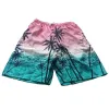 Pink Blue Coconut Tree