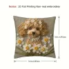C Teddy Dog