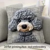 Blue Teddy