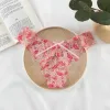 Pink Flamingo