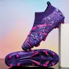 Purple 2805 Spike