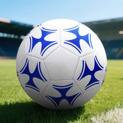 Size 5 Training Soccer & Football