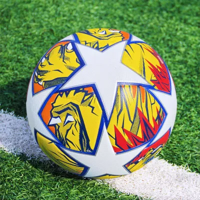 Size 5 Training Soccer & Football