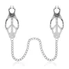 Silver Clip-Silver Chain